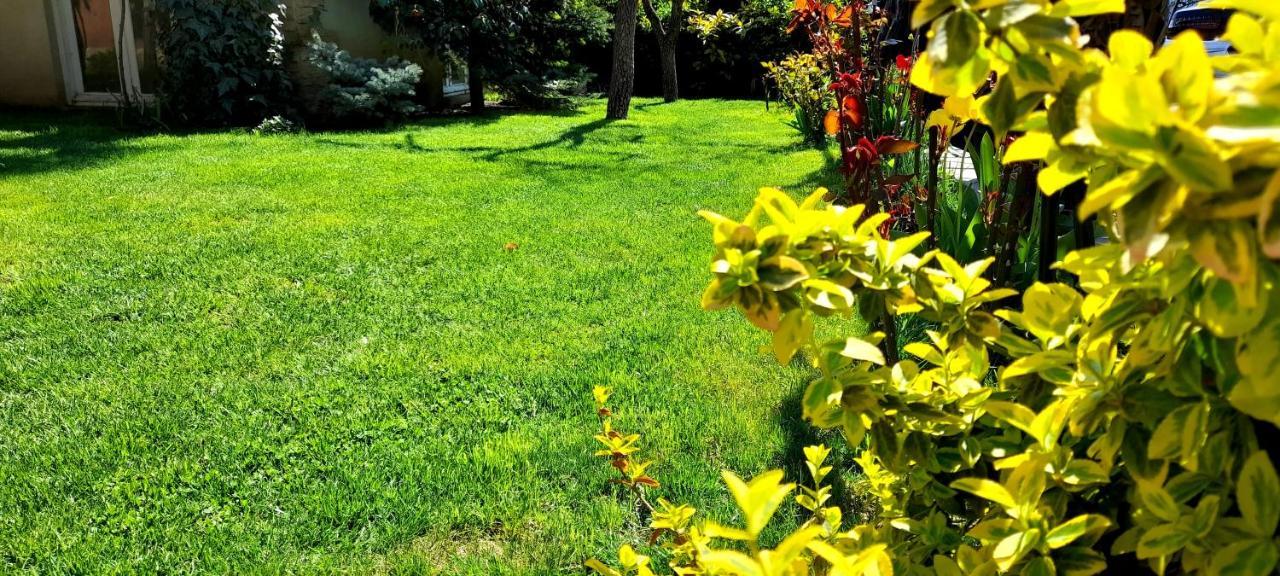 Green Garden Tbilissi Extérieur photo